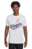 Adults Dry Fit Echo Tee